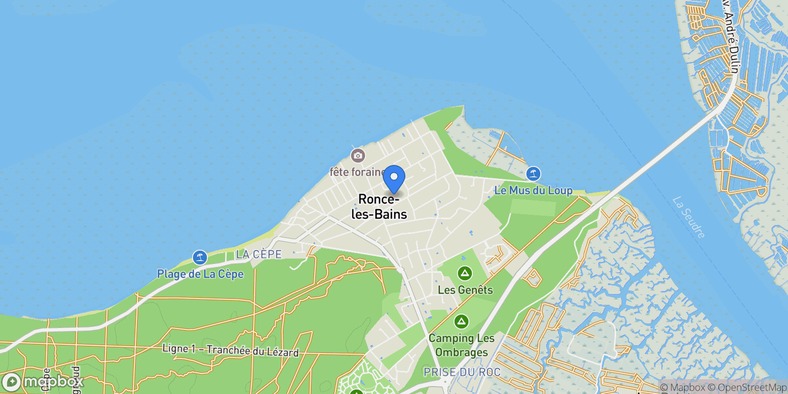 Map showing RONCE LES BAINS, RONCE LES BAINS, La Tremblade, Nouvelle-Aquitaine, France.
