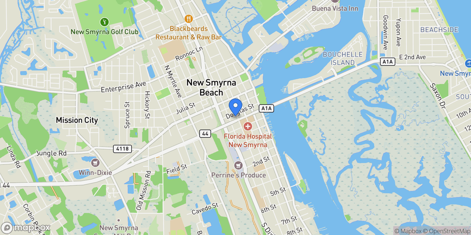 Map showing 314 PALMETTO STREET, New Smyrna Beach, Florida, United States.