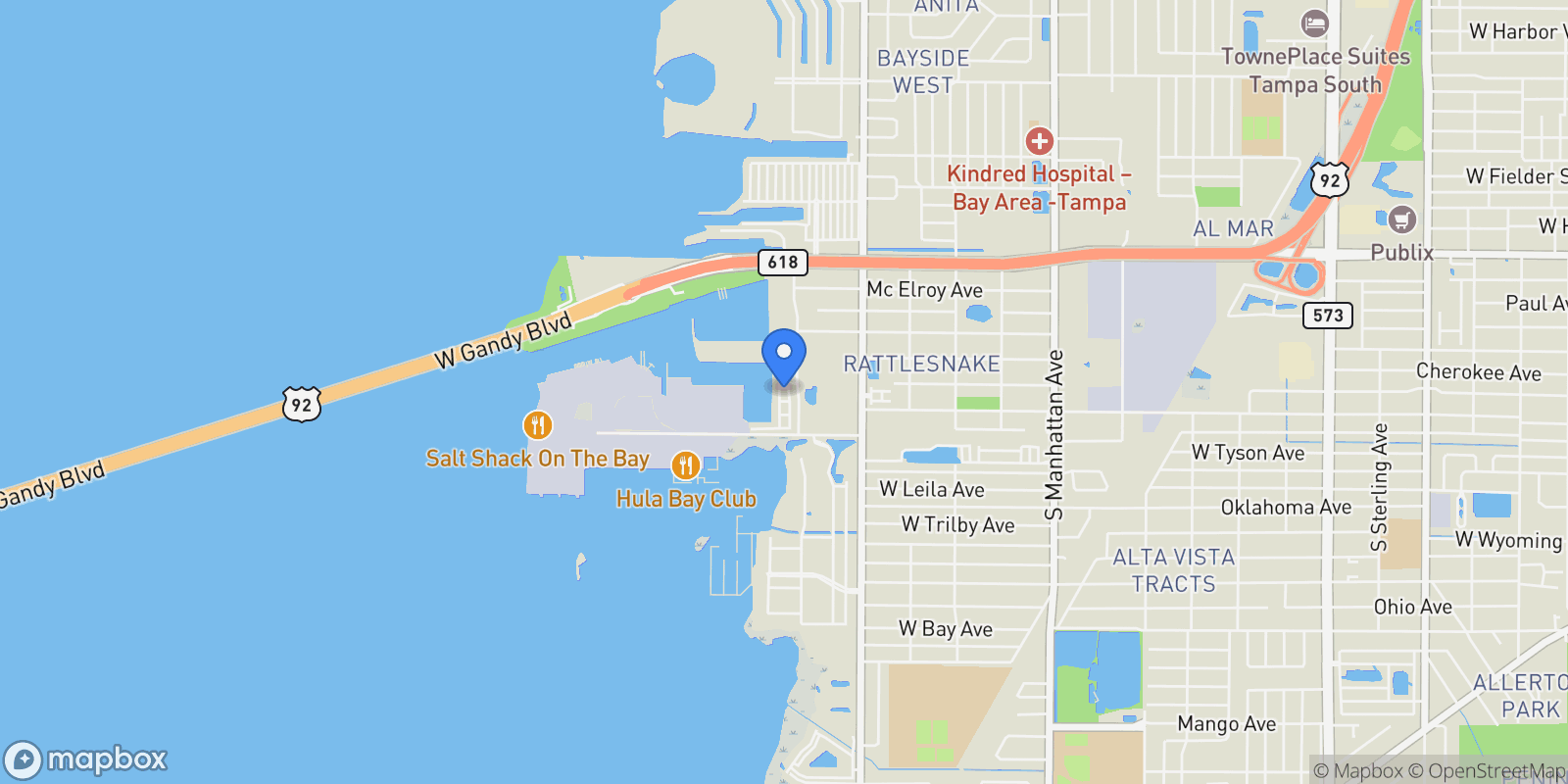 Map showing 5351 BRIDGE ST 81, Tampa, Florida, United States.