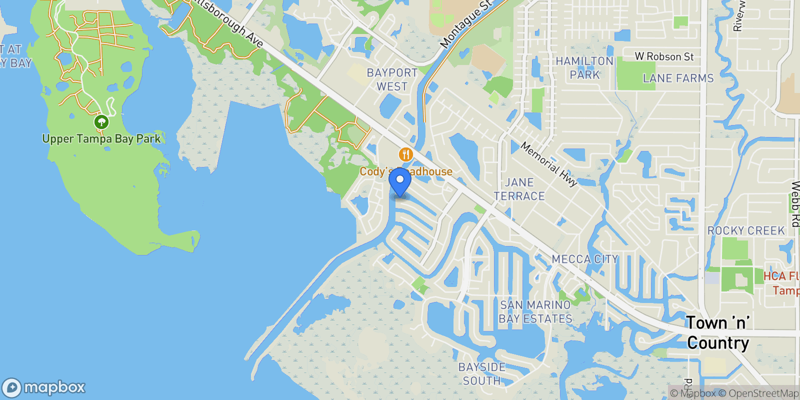 Map showing 10731 DOWRY AVE, Tampa, Florida, United States.