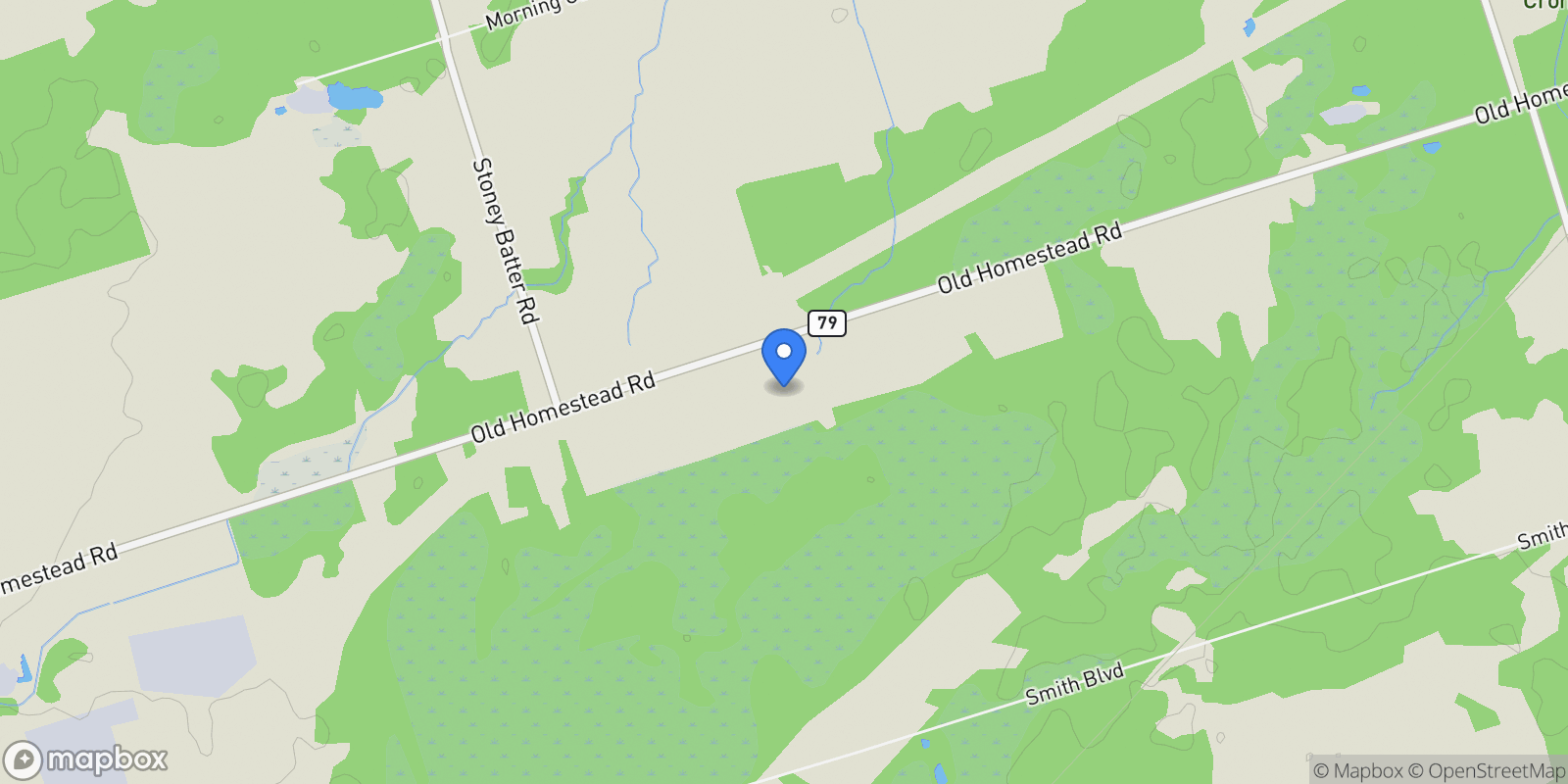 Map showing 8327 OLD HOMESTEAD ROAD, Georgina, Ontario, Canada.