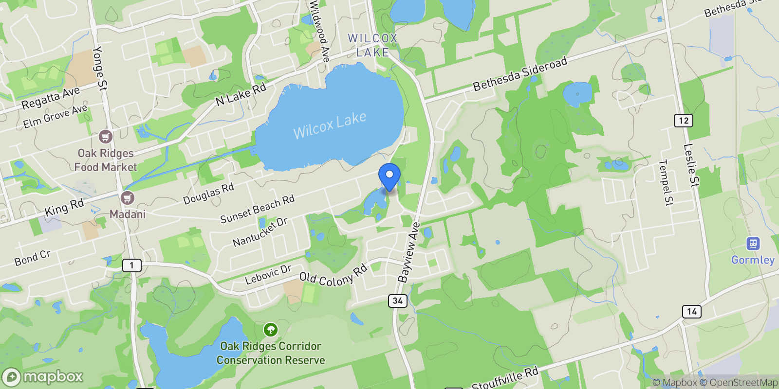 Map showing 16 Bayview Park Lane, Richmond Hill, ON L4E 4K7, Gormley, Ontario, Canada.