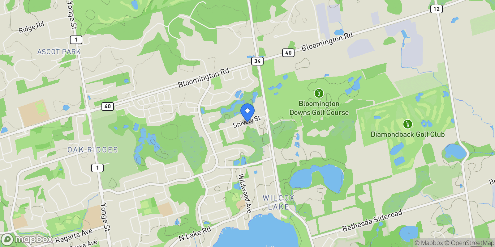 Map showing 69 Snively Street, Richmond Hill, ON L4E 3E7, Gormley, Ontario, Canada.
