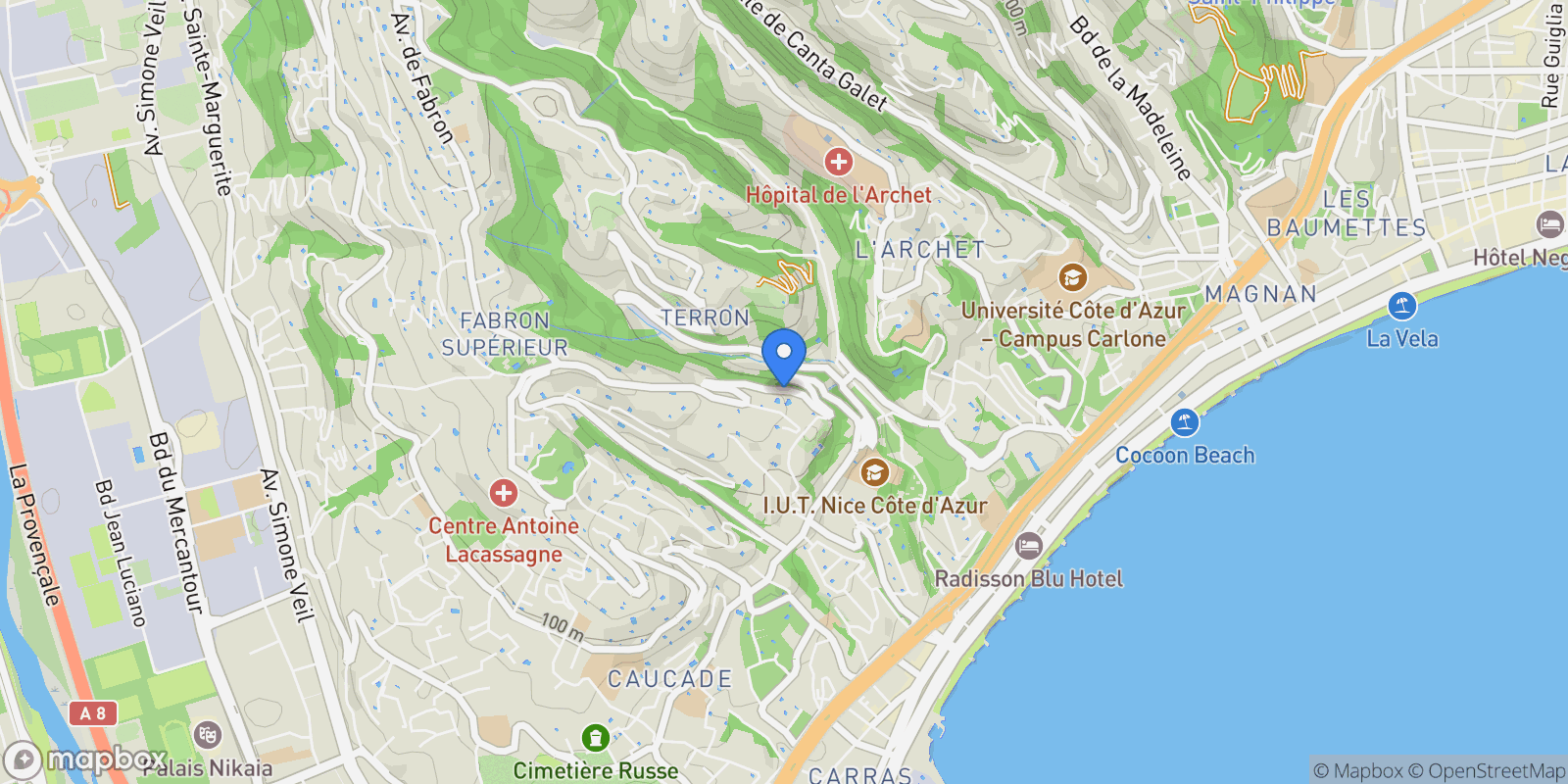 Map showing 169 Avenue de Fabron, Nice, Provence-Alpes-Côte d'Azur, France.
