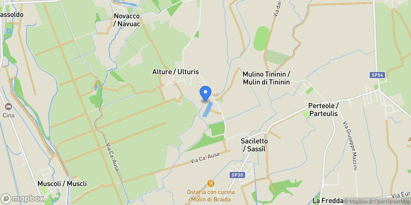 Map showing VIA DEI MOLINI SNC, Friuli-Venezia Giulia, Italy.