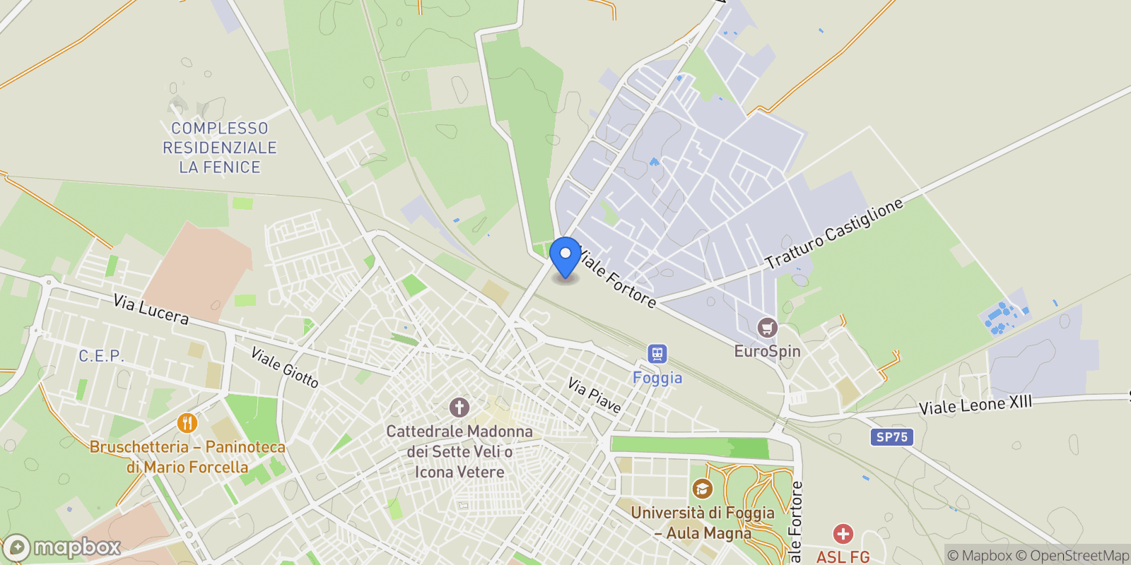 Map showing Viale Fortore, N. snc, Foggia, Apulia, Italy.
