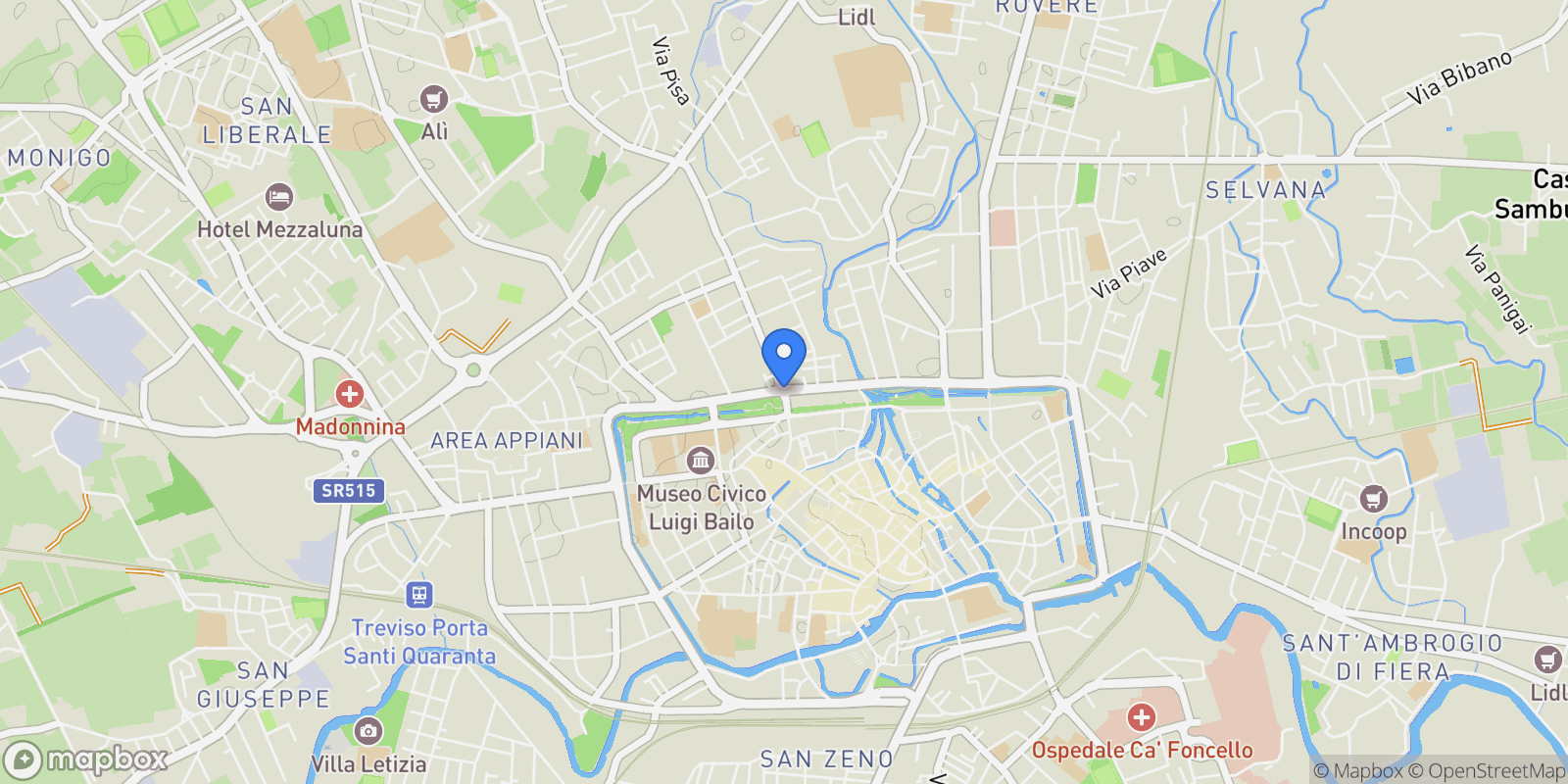 Map showing Viale Cairoli, N. 103, Santa Bona Nuova, Veneto, Italy.