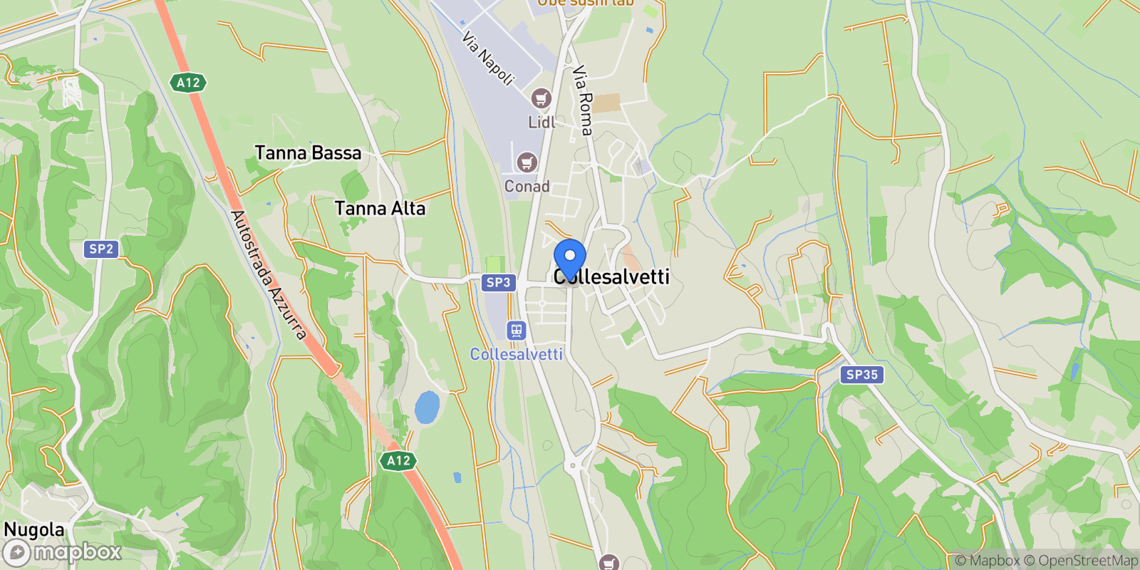 Map showing Collesalvetti, Tuscany, Italy.