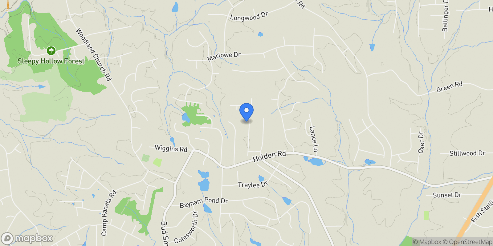 Map showing 115 Princeton Manor Drive, Youngsville, North Carolina, United States.
