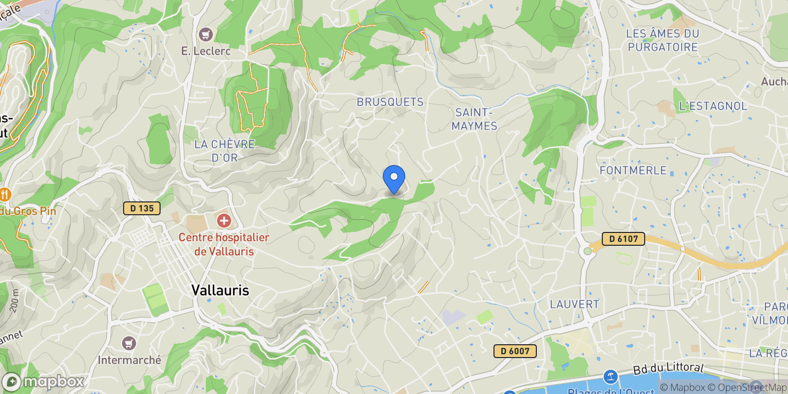 Map showing Vallauris, Provence-Alpes-Côte d'Azur, France.