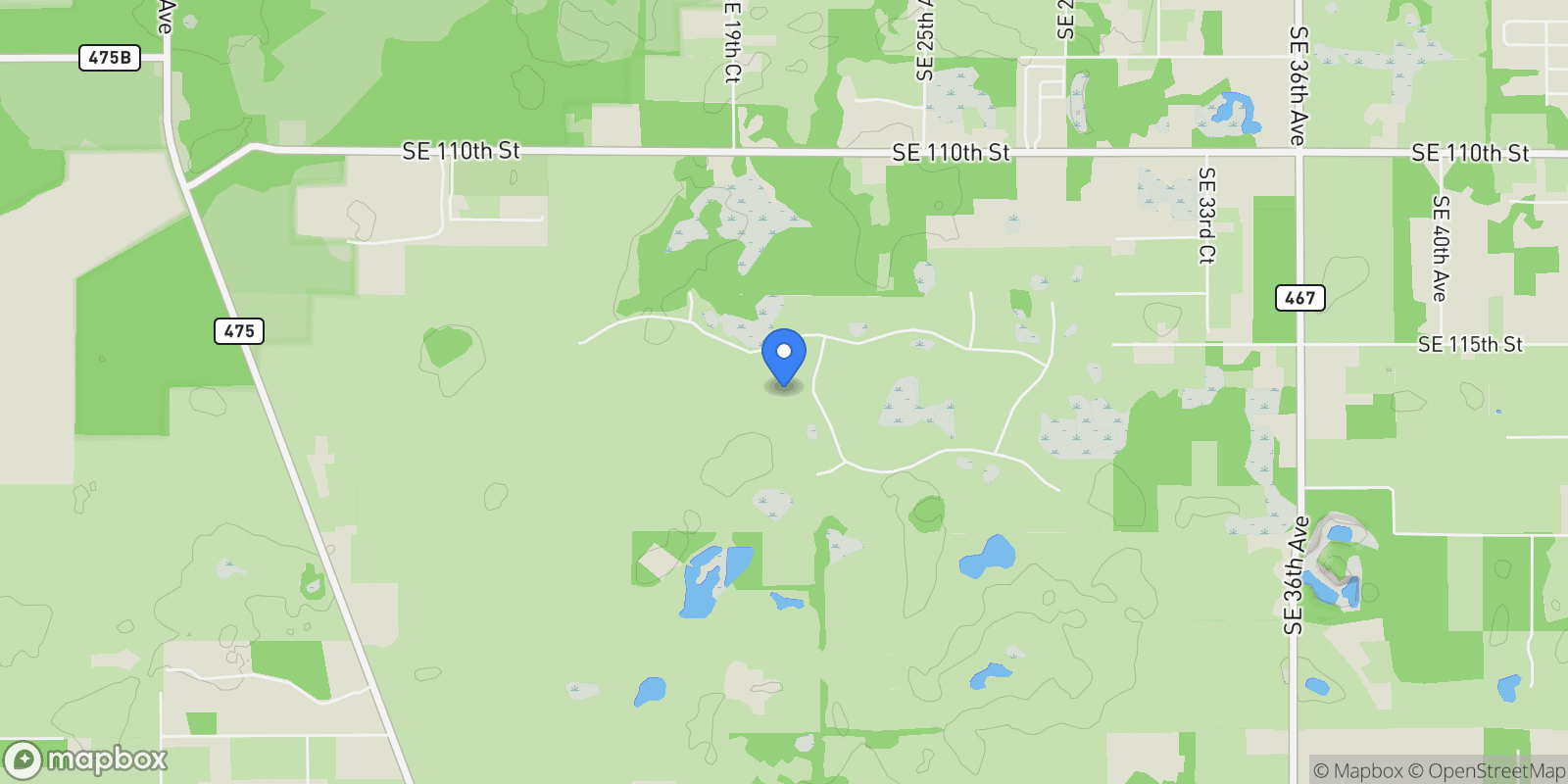 Map showing 11750 SE 22ND AVE ROAD, Belleview, Florida, United States.