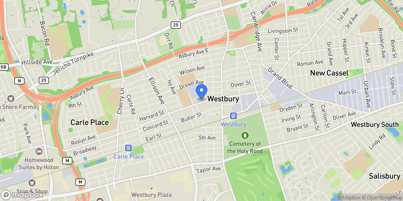 Map showing 175 Maple Avenue Unit# 5G, Westbury, NY 11590, Salisbury, New York, United States.