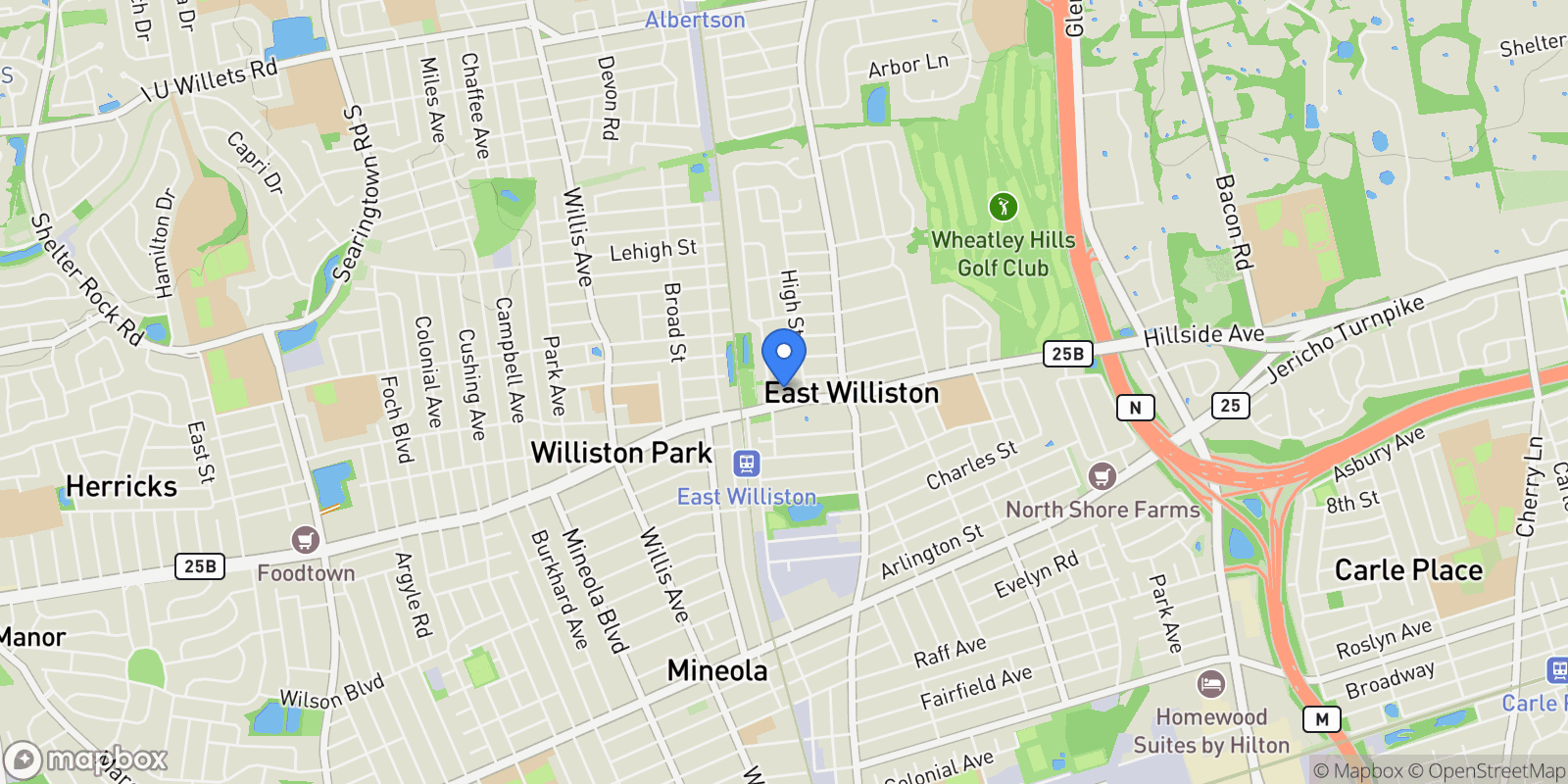 Map showing 19 E Williston Avenue , East Williston, NY 11596, East Williston, New York, United States.