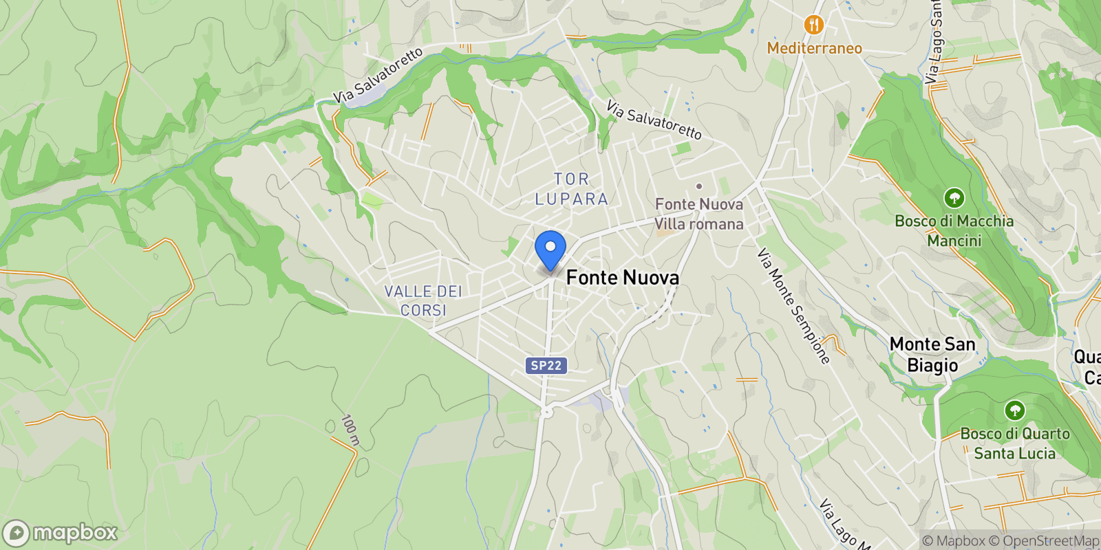 Map showing via Molise, Fonte Nuova, Italia, Tor Lupara, Lazio, Italy.