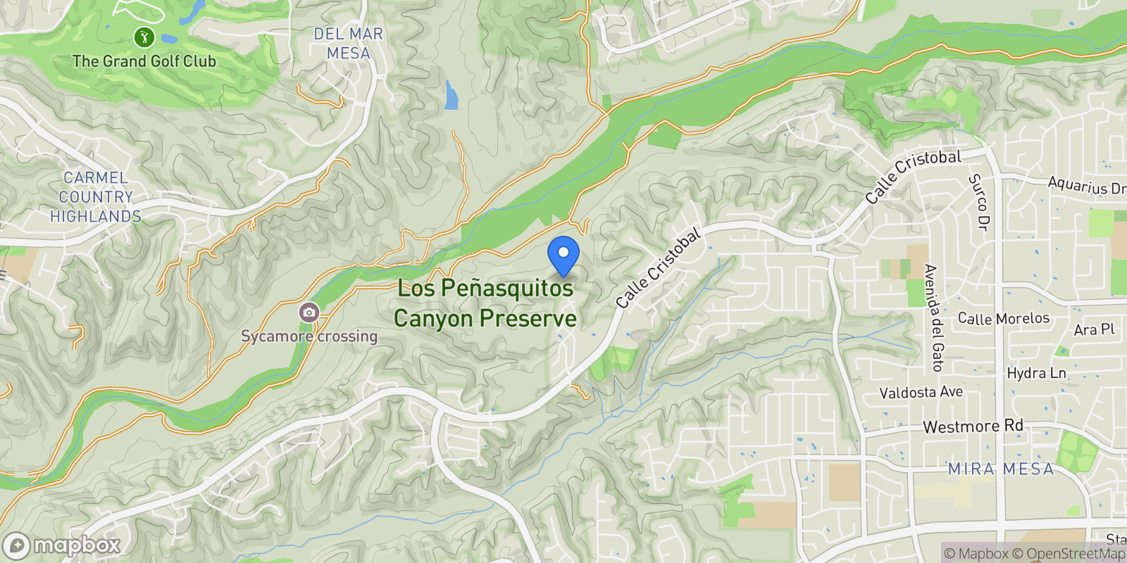Map showing 11325 Caminito Rodar, San Diego, California, United States.