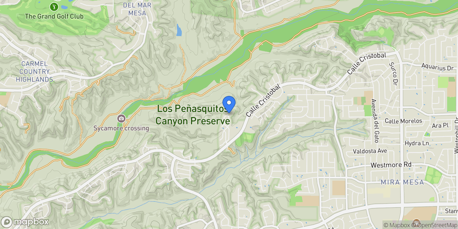 Map showing 11319 Caminito Rodar, San Diego, California, United States.