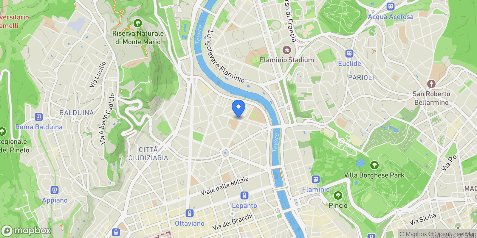 Map showing VIA ACHILLE PAPA, Rome, Lazio, Italy.