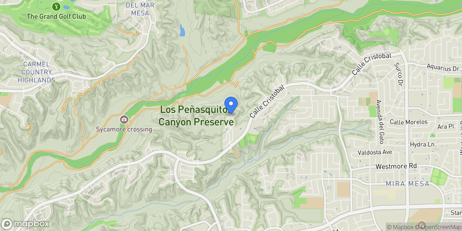 Map showing 11318 Caminito Rodar, San Diego, California, United States.
