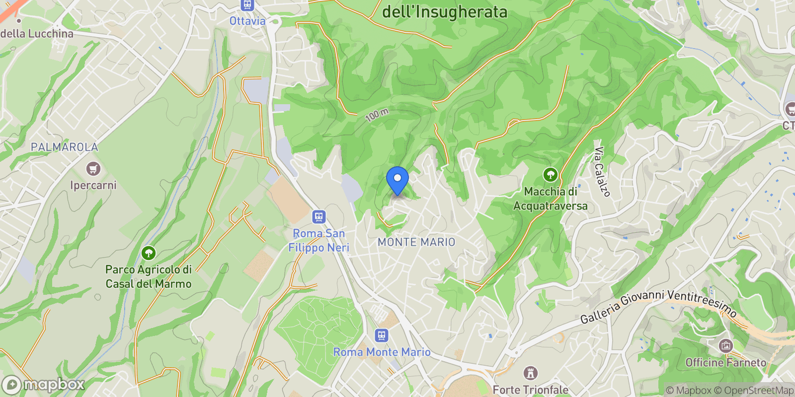Map showing via Basilio Puoti, Rome, Lazio, Italy.
