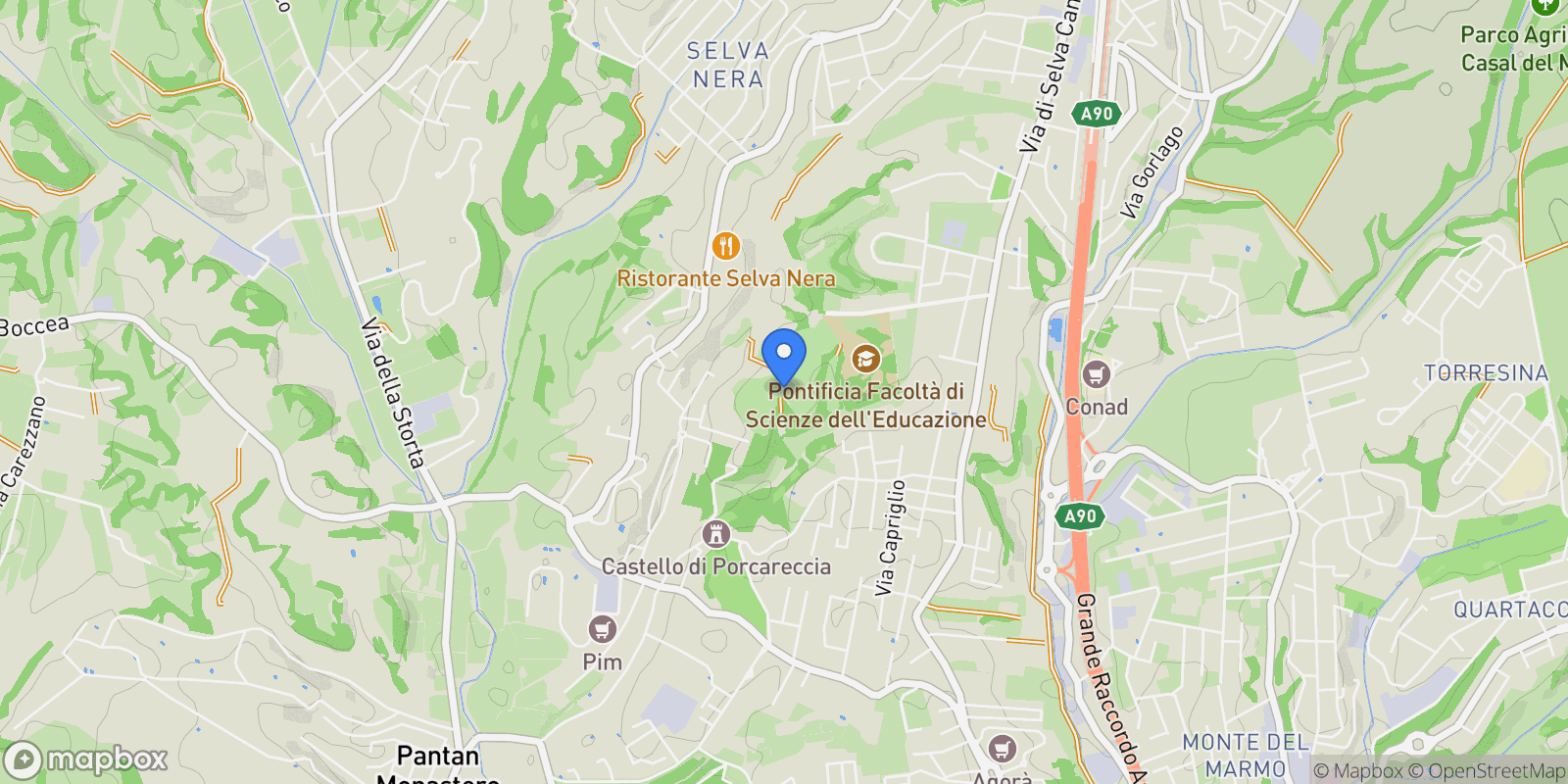 Map showing VIA DI SELVA NERA, Rome, Lazio, Italy.