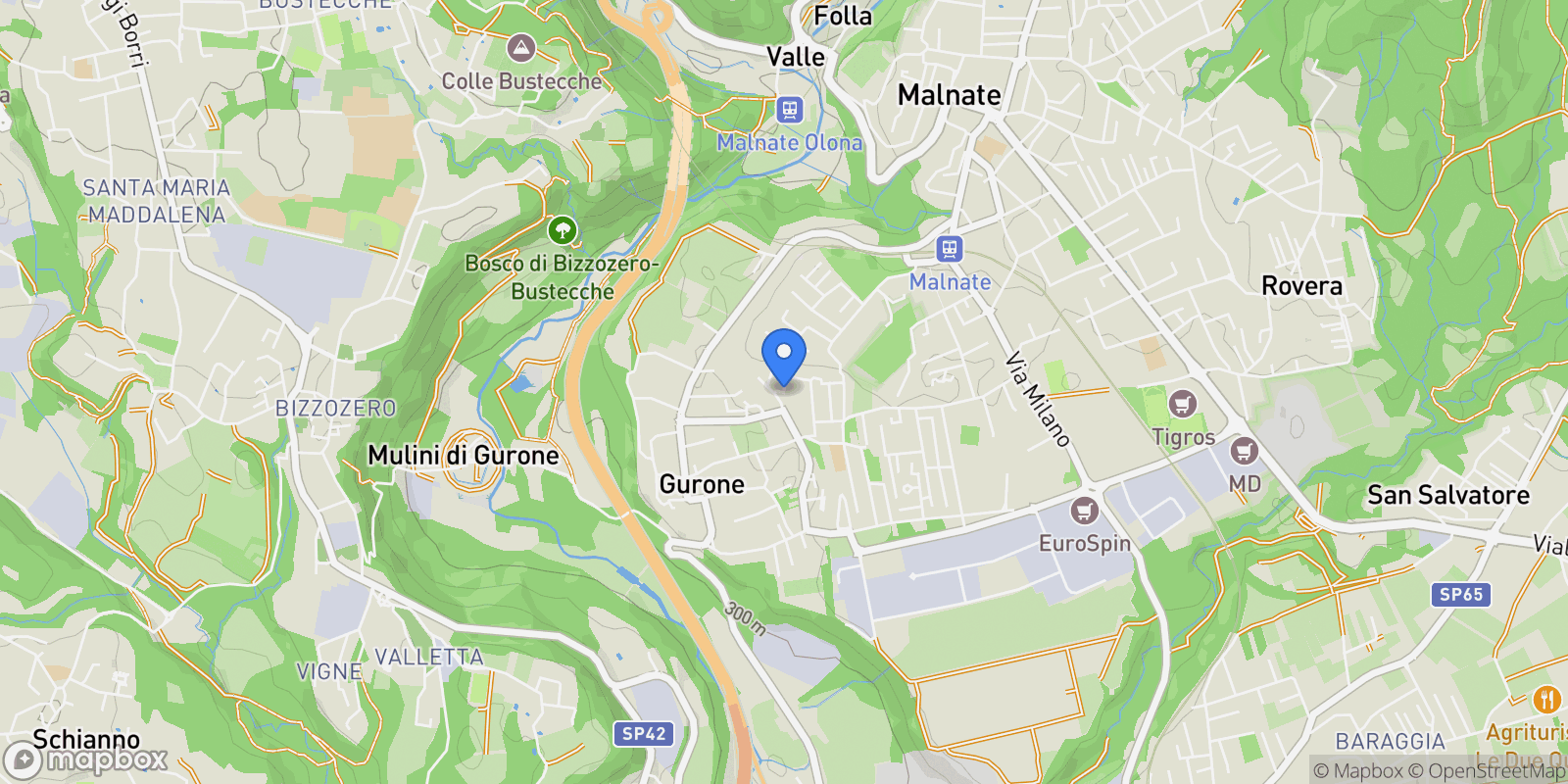 Map showing via della vignaccia, Malnate, Lombardy, Italy.