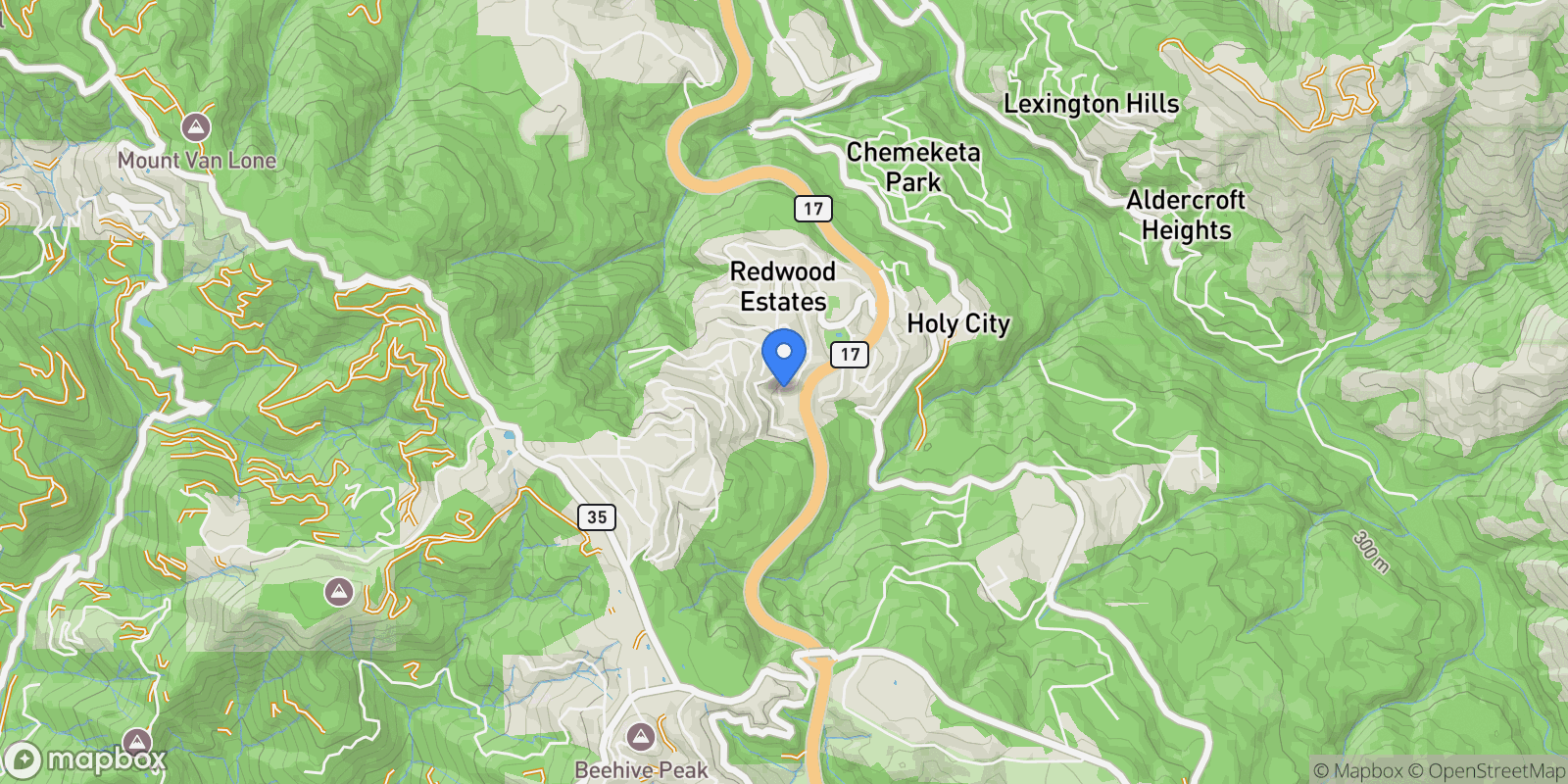 Map showing 21564 Mary Alice Way, Los Gatos, California, United States.
