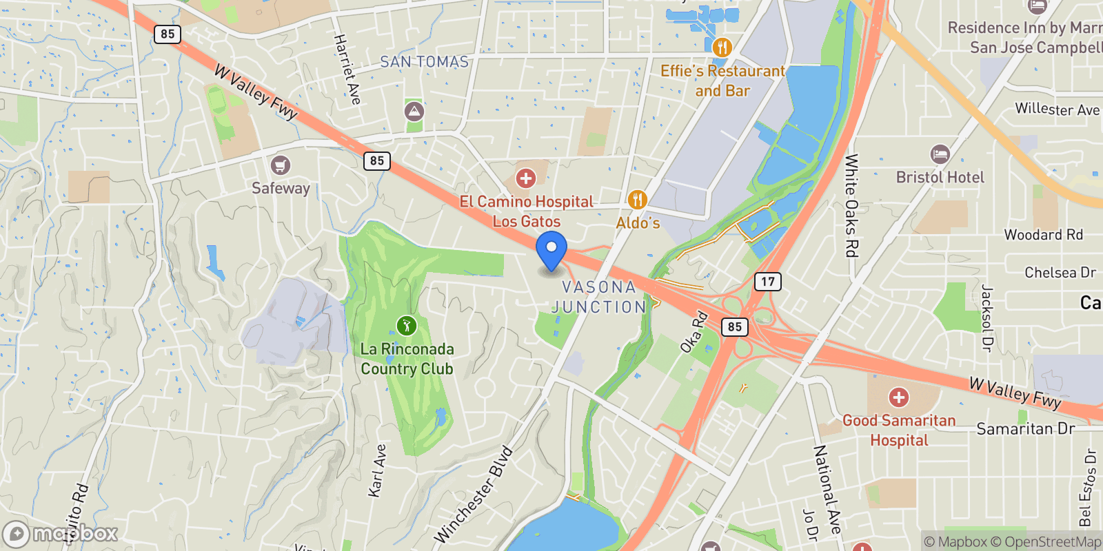 Map showing 207 Palmer Drive, Los Gatos, California, United States.