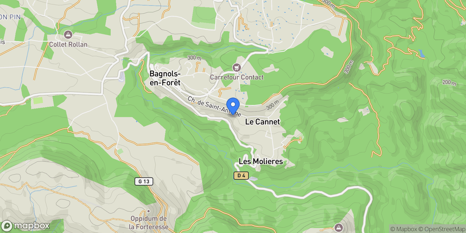 Map showing Bagnols-en-Forêt, Provence-Alpes-Côte d'Azur, France.