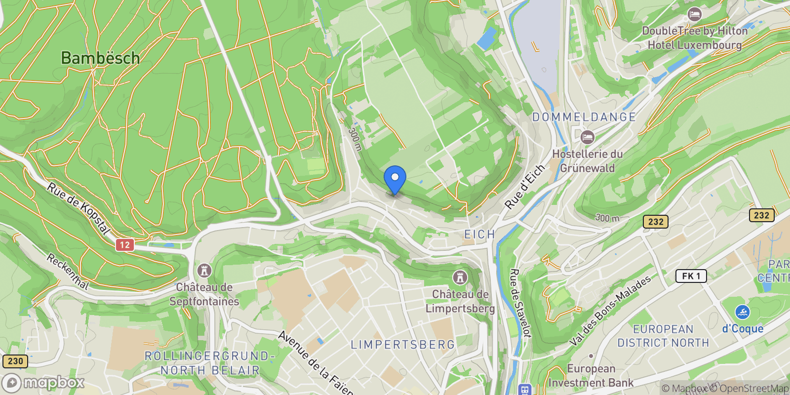 Map showing Luxembourg, Luxembourg, Luxembourg.