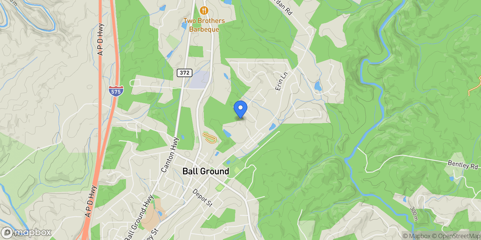 Map showing 338 Reese Way Road, Ball Ground, Georgia, United States.