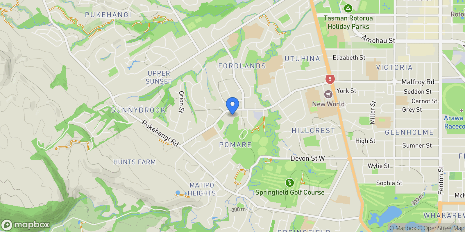 Map showing 318 Malfroy Road, Pomare, Rotorua 3015, New Zealand, Rotorua, Bay of Plenty, New Zealand.