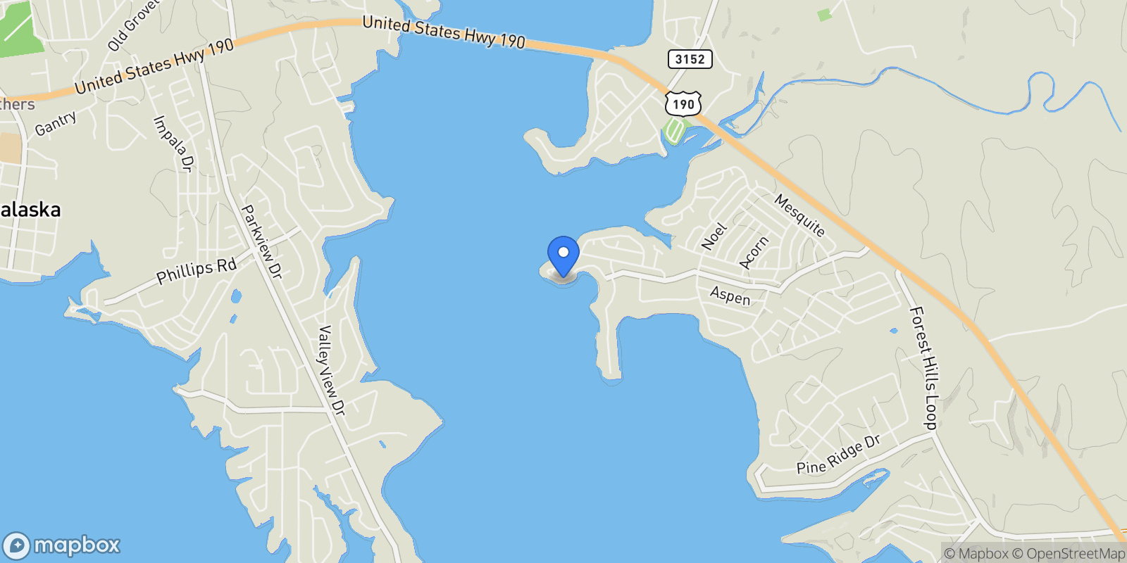 Map showing 650 Dove Island, Livingston, Texas, United States.