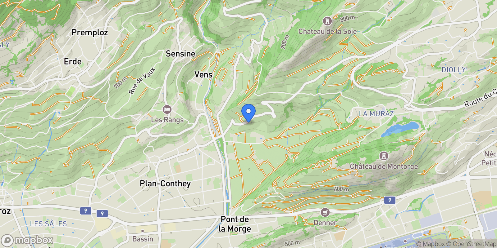 Map showing Savièse, Valais, Switzerland.