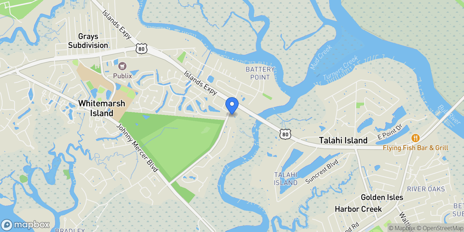 Map showing 9 Turnbull Lane, Savannah, Georgia, United States.