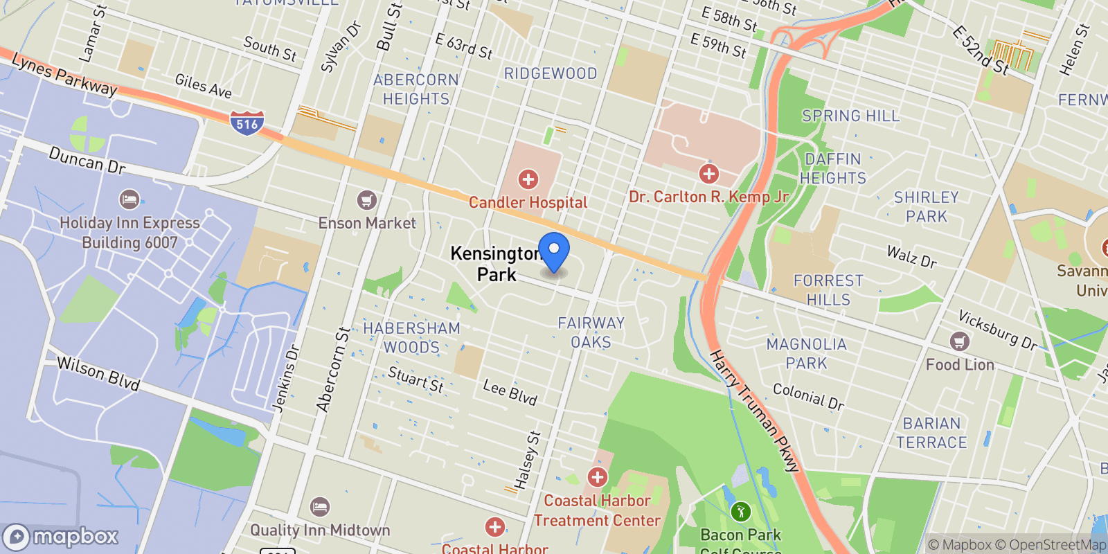 Map showing 143 Andover Drive, Savannah, Georgia, United States.