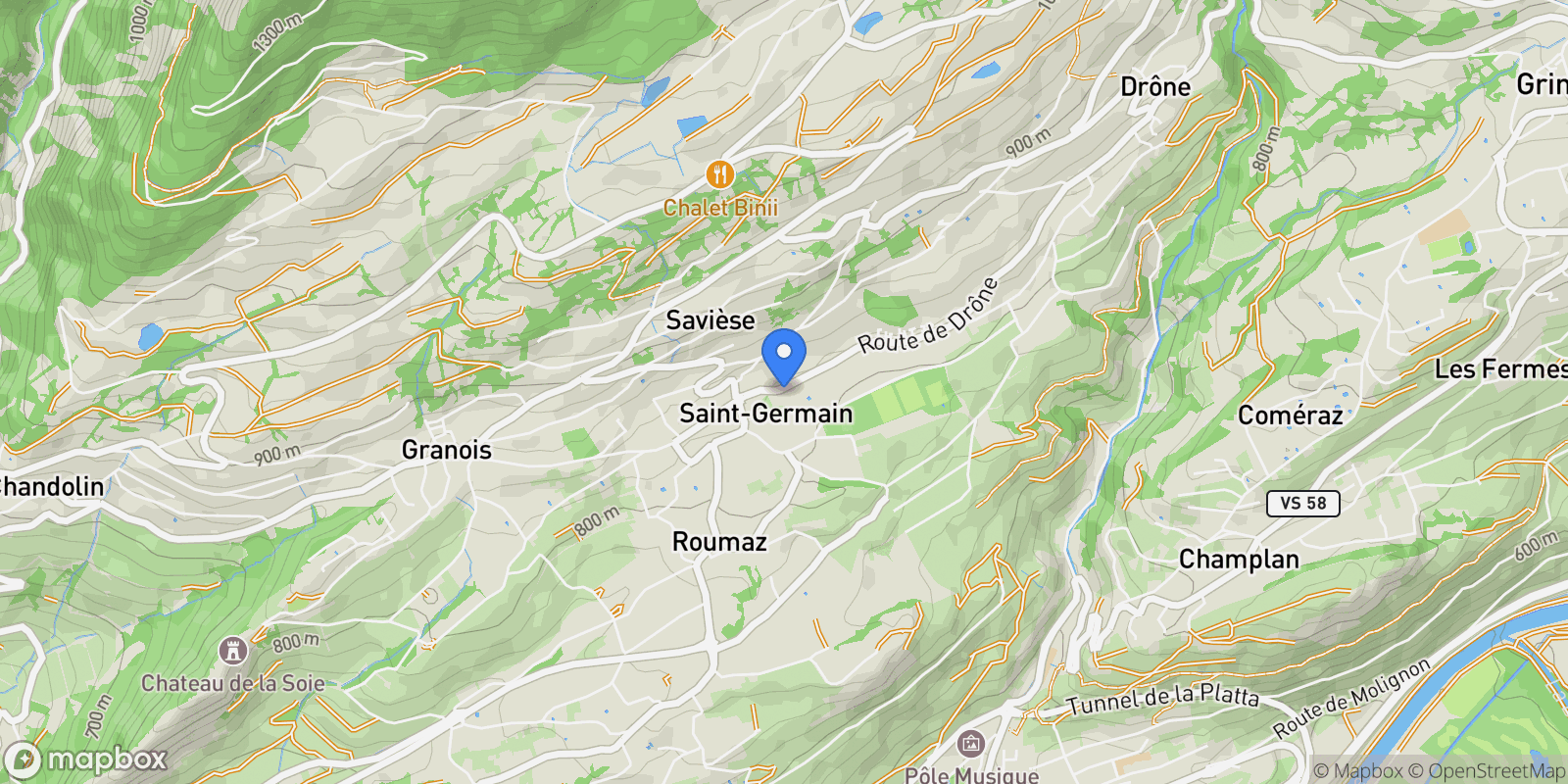 Map showing Savièse, VS 1965, Savièse, Valais, Switzerland.