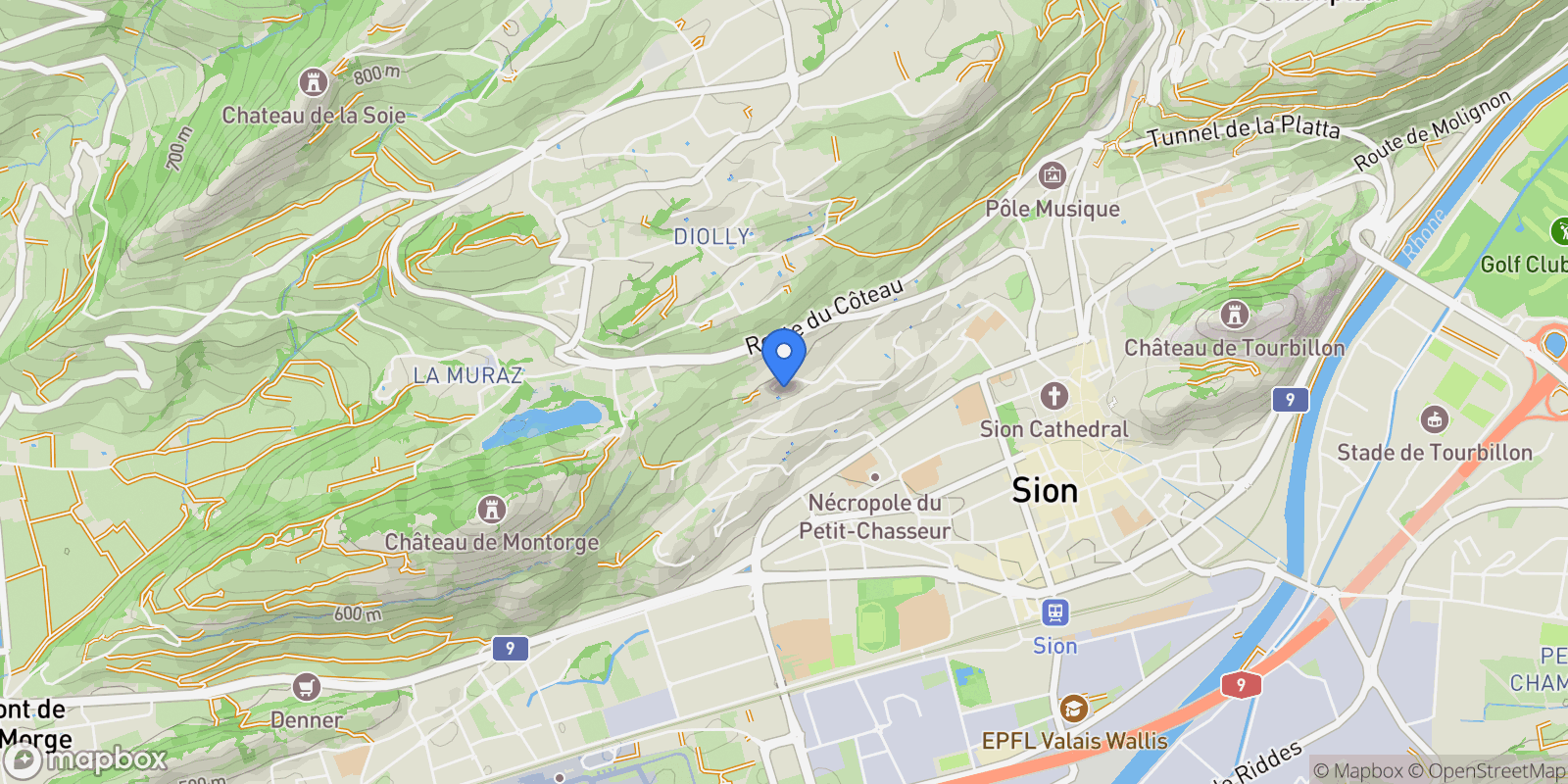 Map showing Sion, VS 1950, Sion, Valais, Switzerland.