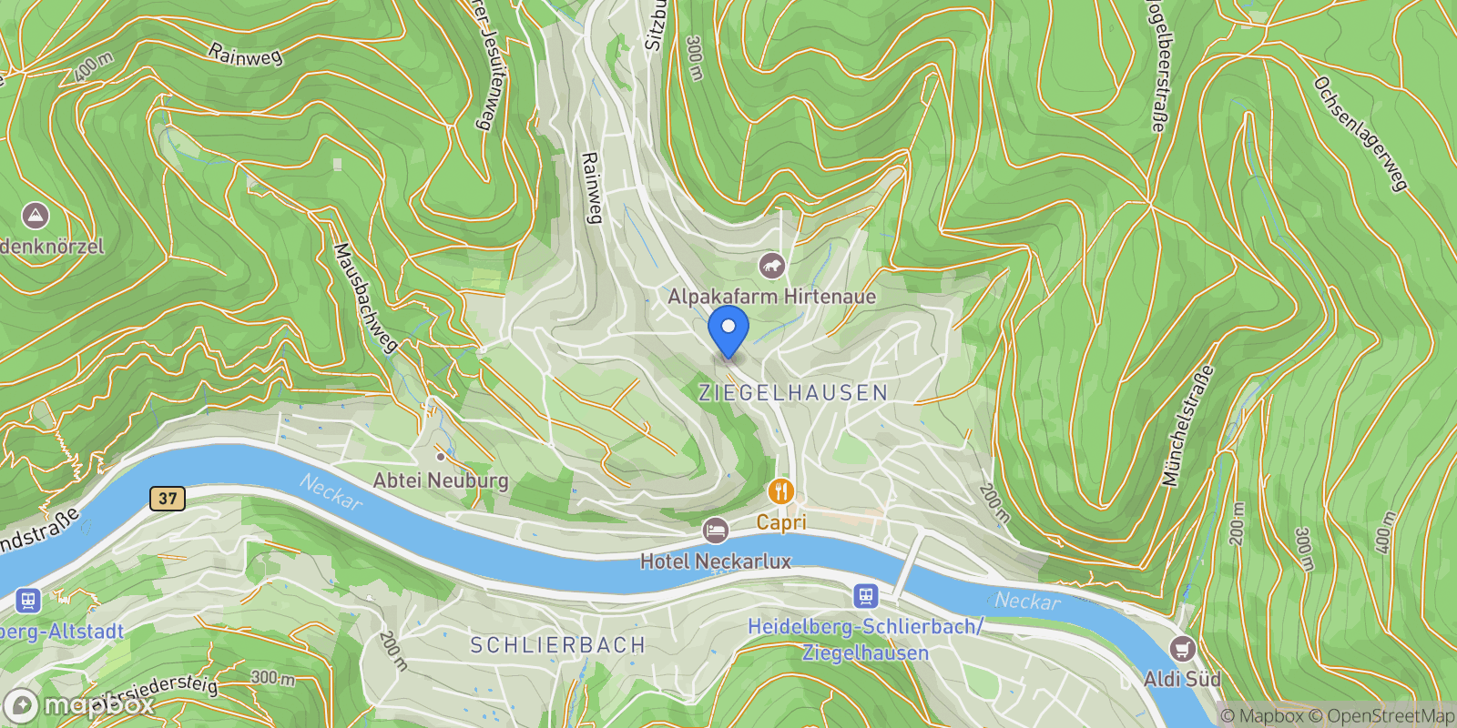 Map showing Heidelberg / Ziegelhausen, BW 69118, Heidelberg, Baden-Württemberg, Germany.