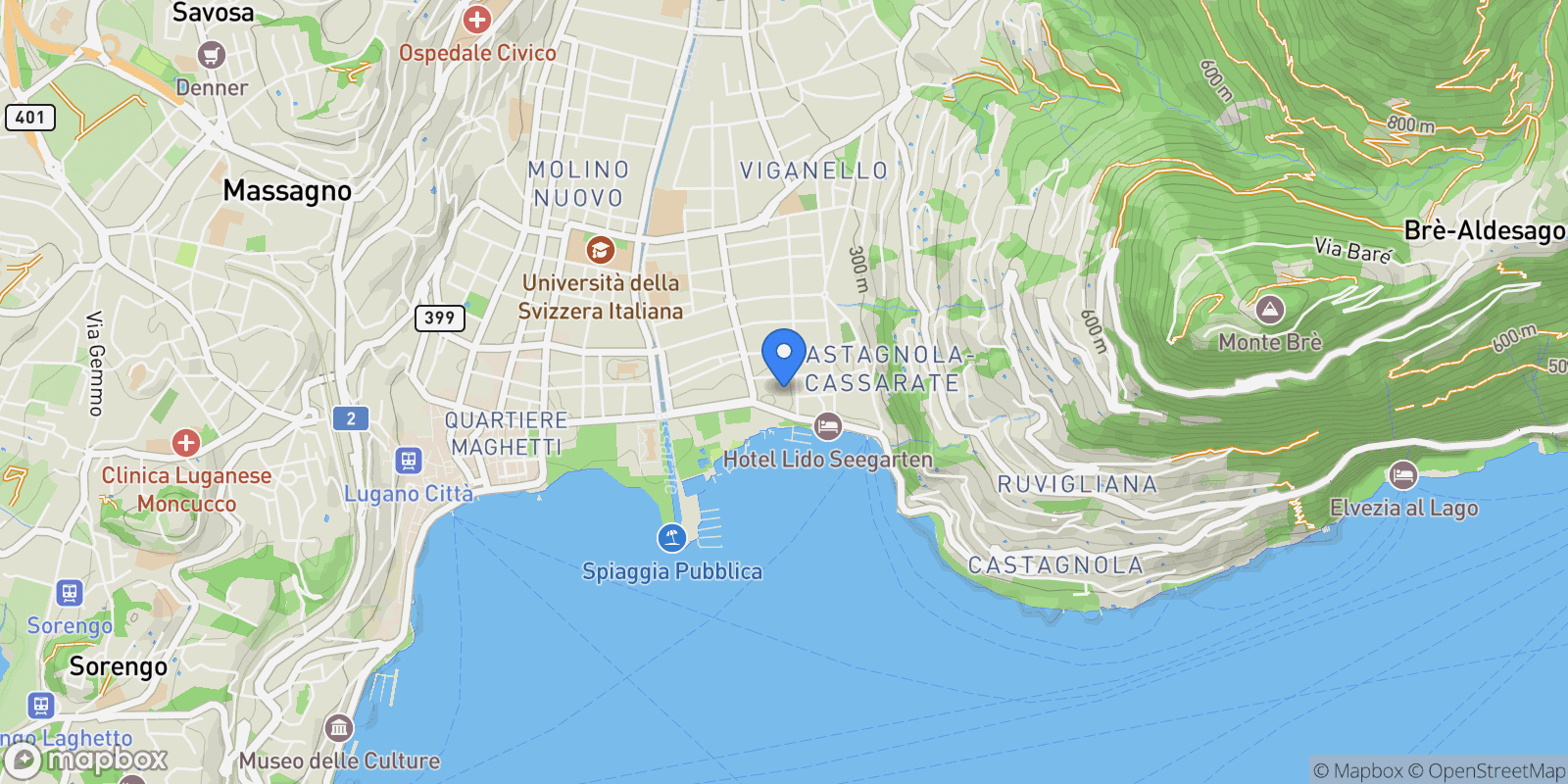 Map showing Viale Castagnola, 21 E, Lugano, Ticino, Switzerland.