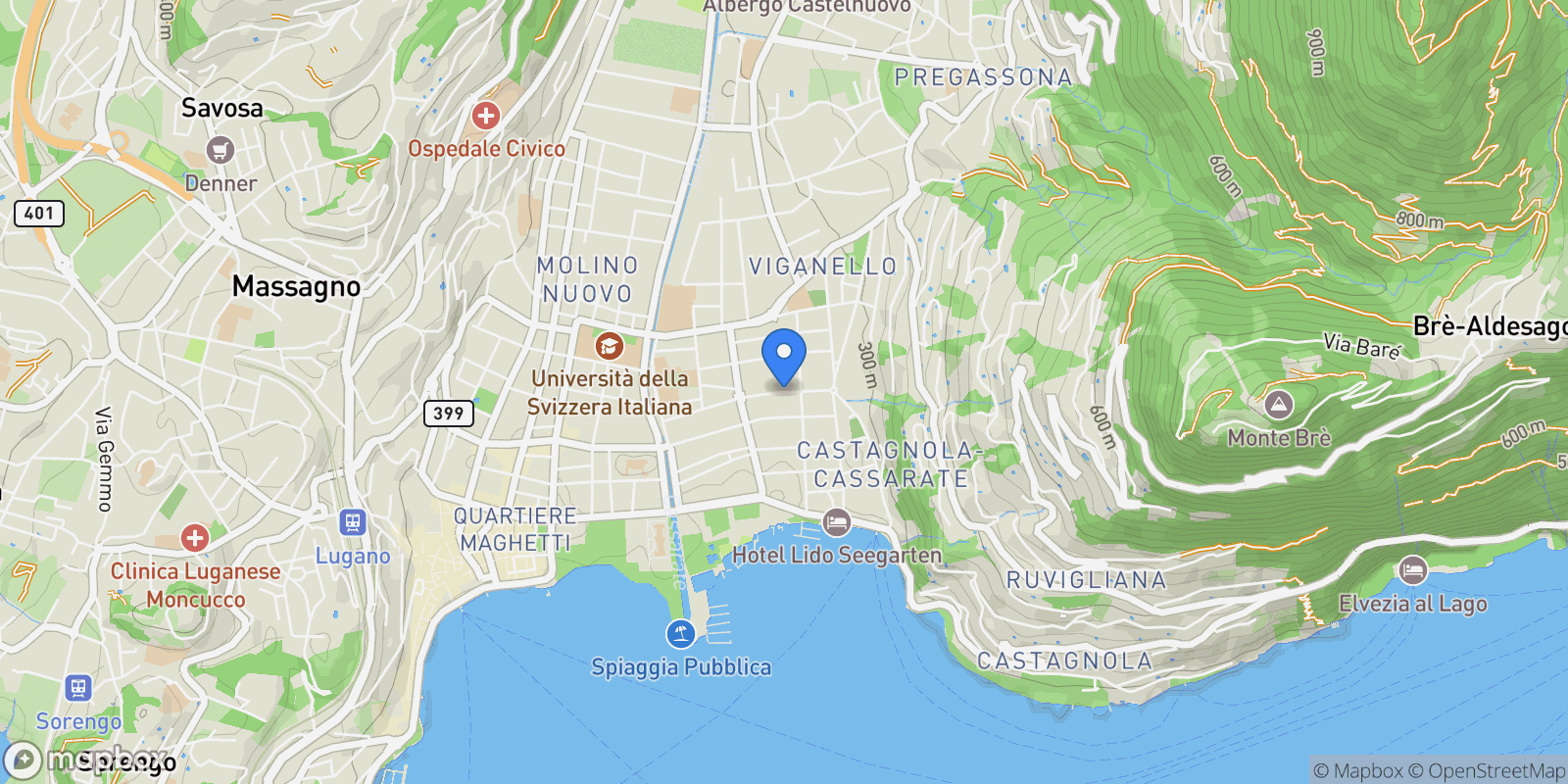 Map showing Via Molinazzo, Lugano, Ticino, Switzerland.
