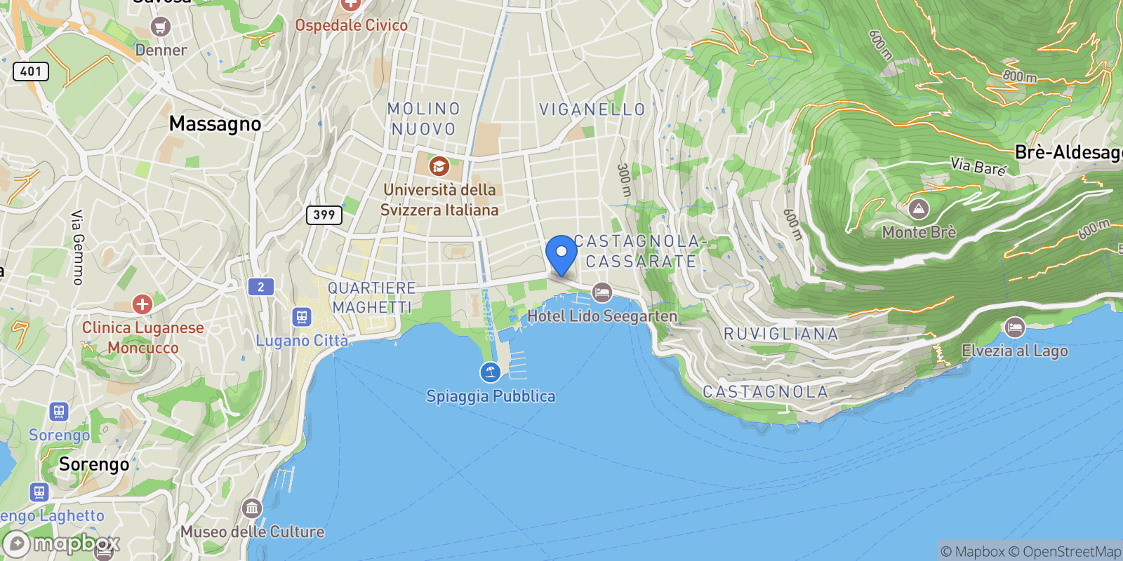 Map showing viale Castagnola, Lugano, Ticino, Switzerland.