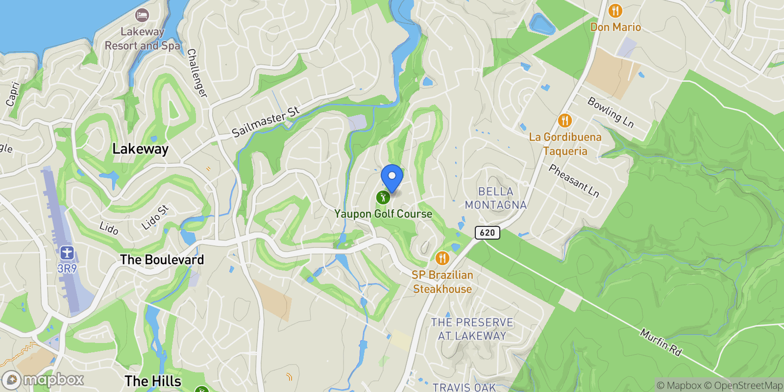 Map showing 319 Hazeltine DR, The Hills, Texas, United States.