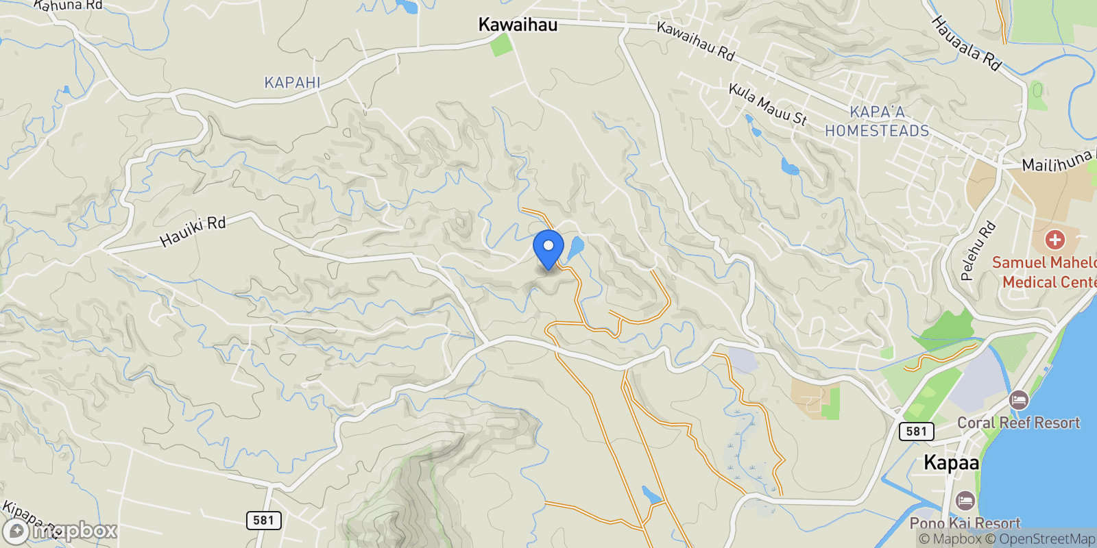 Map showing #1B , Kapaa, HI 96746, KapaÊ»a, Hawaii, United States.