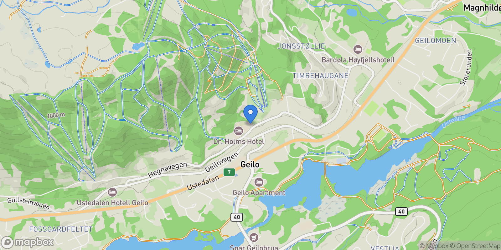 Map showing Timrehaugvegen 4, 3580 Geilo, Norway, Geilo, Buskerud, Norway.