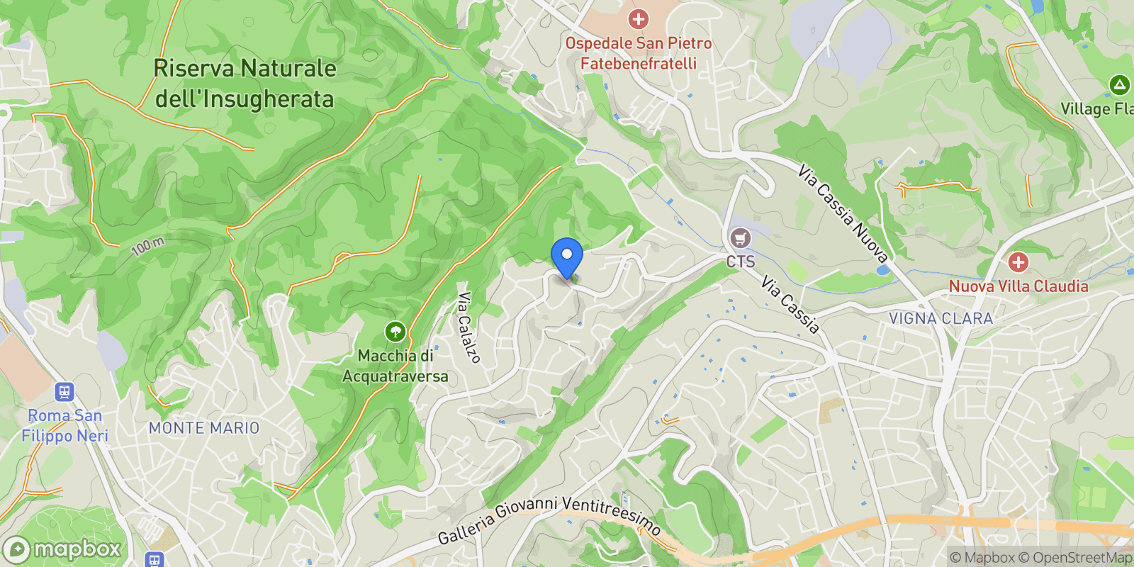 Map showing Viale Cortina d'Ampezzo, 105, 00135 Roma RM, Italy, Rome, Lazio, Italy.