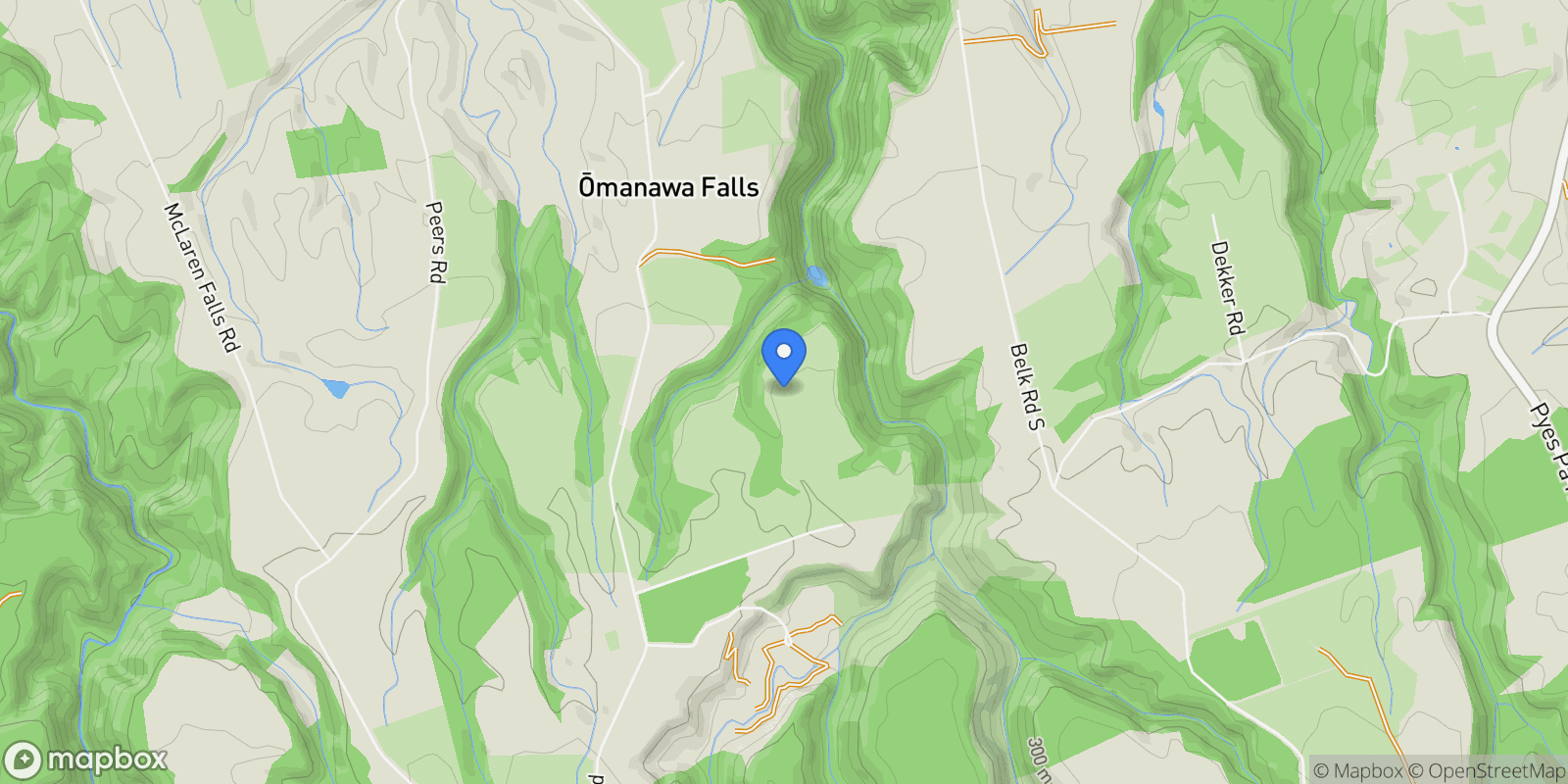 Map showing 25 Sarona Park Drive, Omanawa 3171, New Zealand, Omanawa, Bay of Plenty, New Zealand.