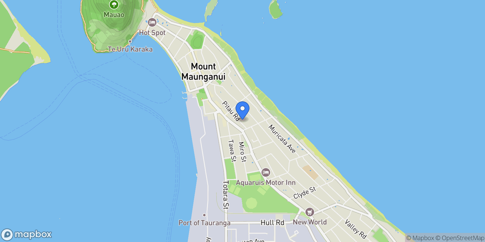 Map showing 65 Pitau Road, Mount Maunganui 3116, New Zealand, Mount Maunganui, Bay of Plenty, New Zealand.