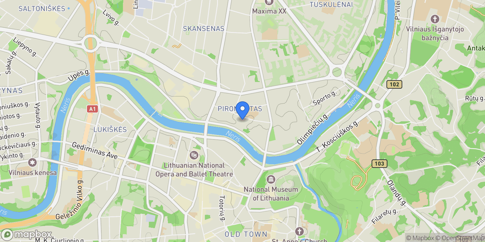 Map showing A. Juozapaviciaus St, Vilnius, TurniÅ¡kÄ—s, Vilnius County, Lithuania.