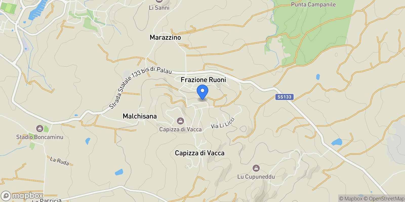 Map showing Ruoni, Ruoni, Sardinia, Italy.