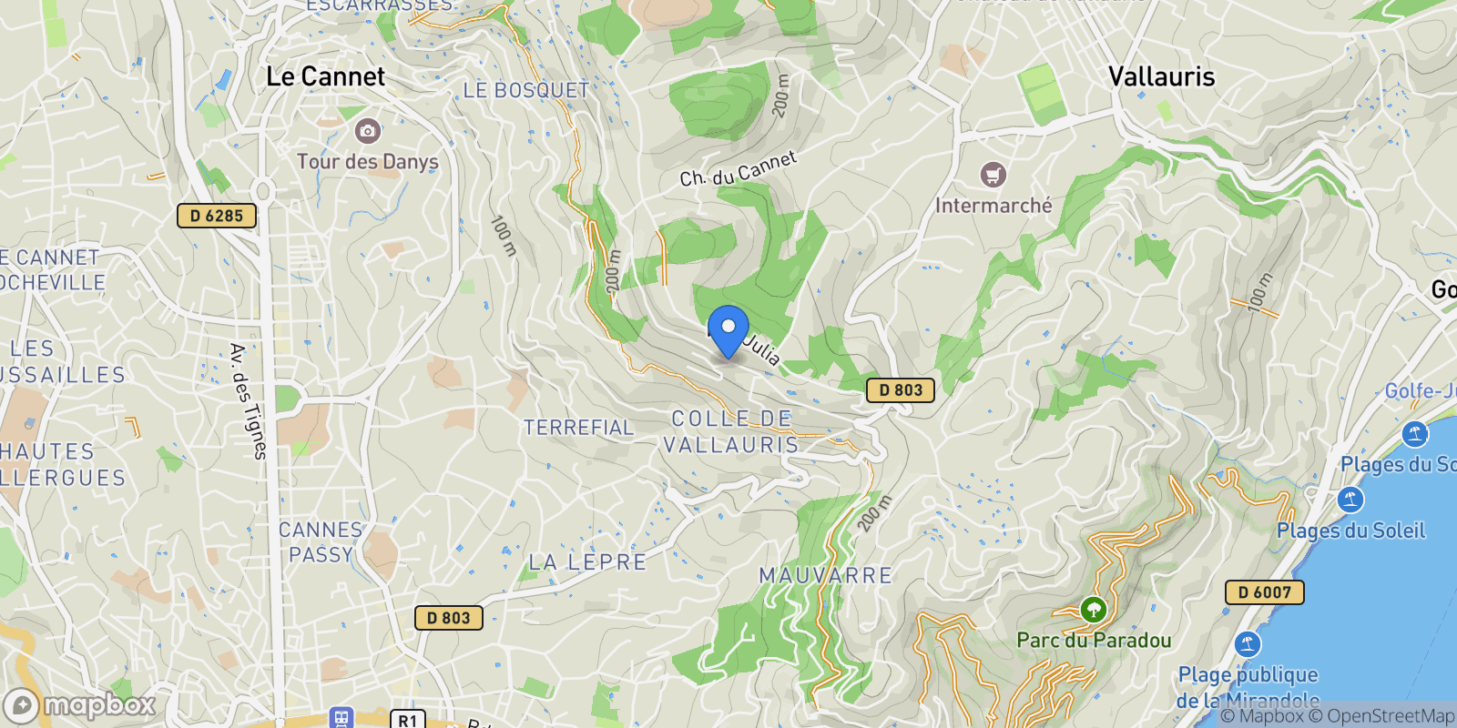 Map showing 29 Chemin des Collines, Cannes, Provence-Alpes-Côte d'Azur, France.